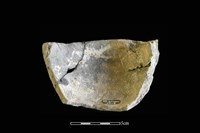 陶缽藏品圖，第2張